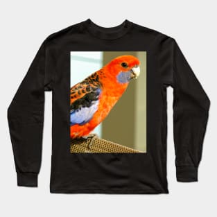 Crimson Rosella Long Sleeve T-Shirt